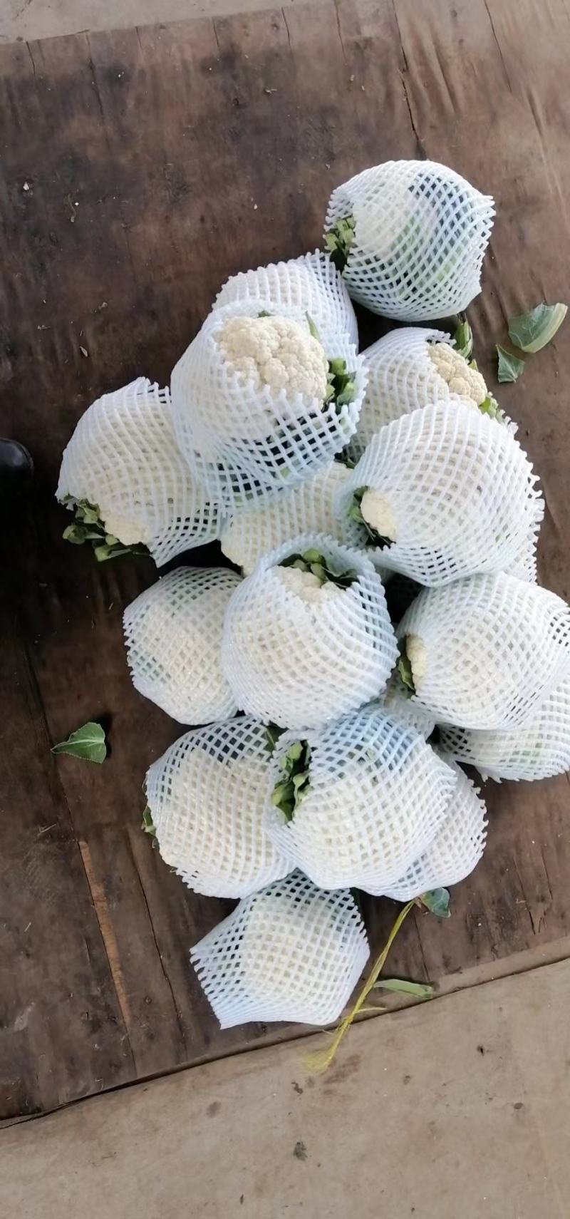 【精选】精品菜花产地直供代办电商供应量大优惠全国发货