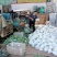 【精选】精品菜花产地直供代办电商供应量大优惠全国发货