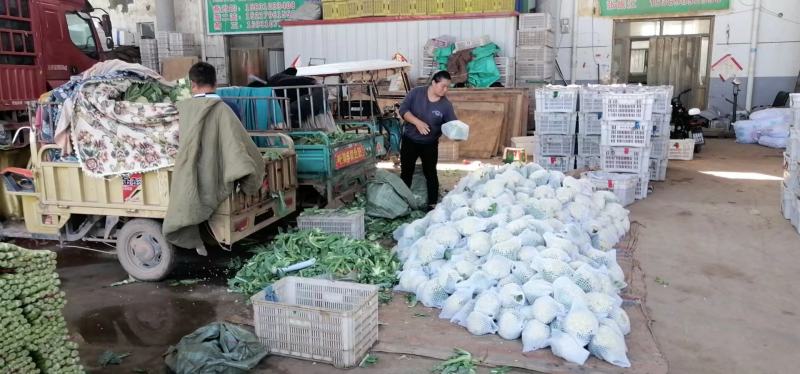 【精选】精品菜花产地直供代办电商供应量大优惠全国发货