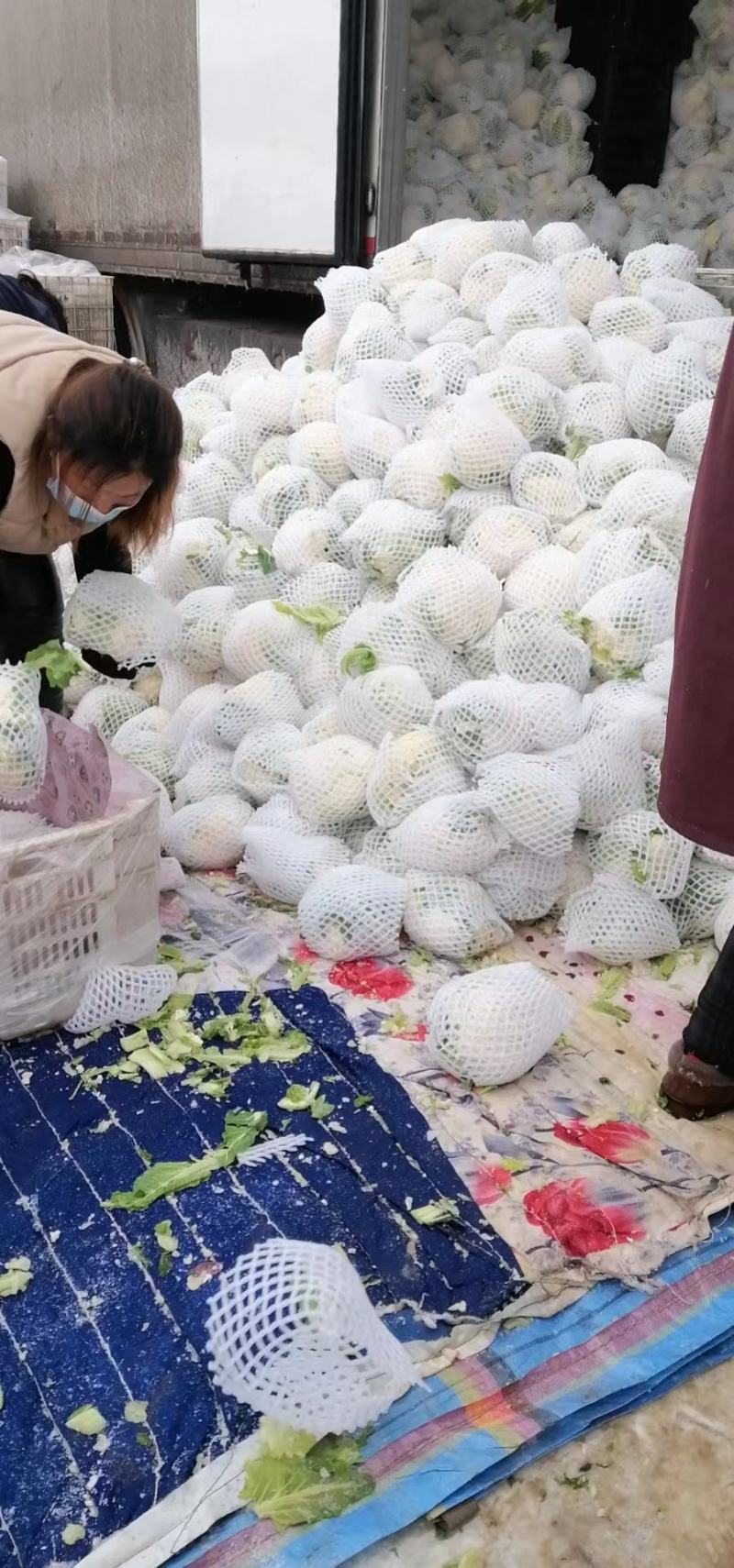 【精选】精品菜花产地直供代办电商供应量大优惠全国发货