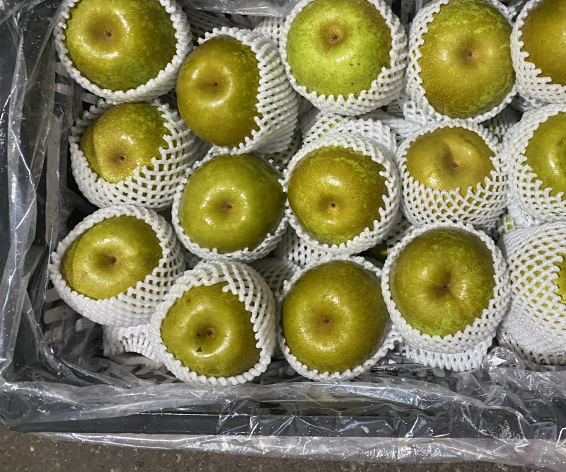 好货在等你，