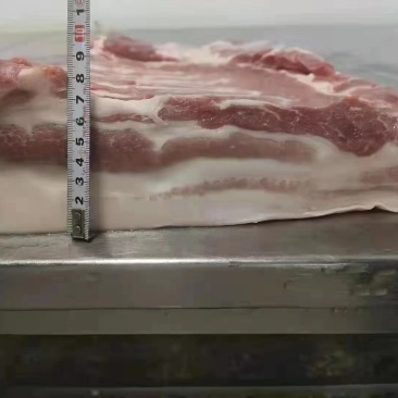 带皮五花肉三级猪副产品猪肉冷冻