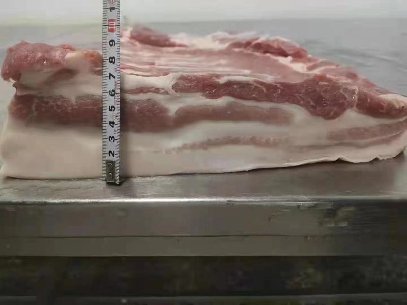 带皮五花肉三级猪副产品猪肉冷冻