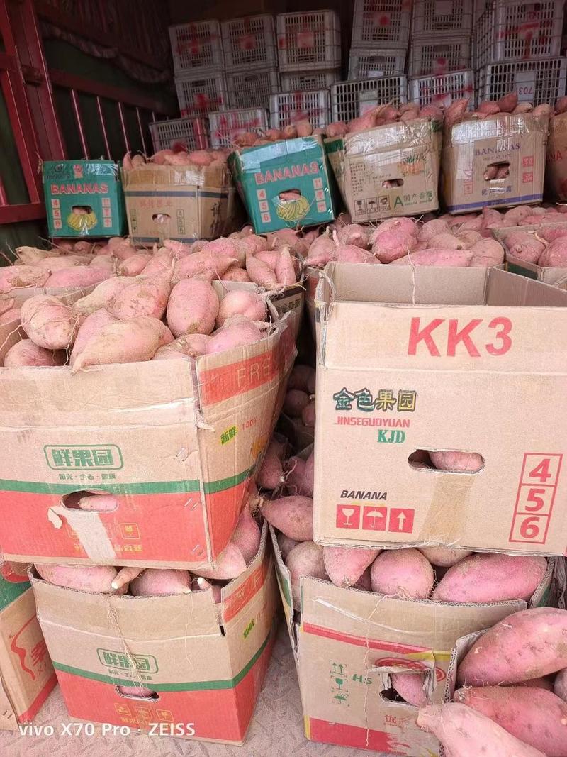 西瓜红红薯，电商，市场货大量现货供应