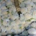 【推荐】菜花松散乳白2斤大量上市量大从优欢迎采购