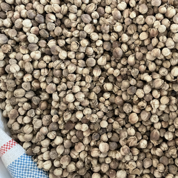 白豆蔻白寇原货白扣足干水洗白扣产地一手货源