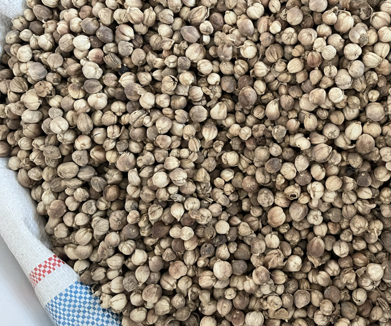 白豆蔻白寇原货白扣足干水洗白扣产地一手货源