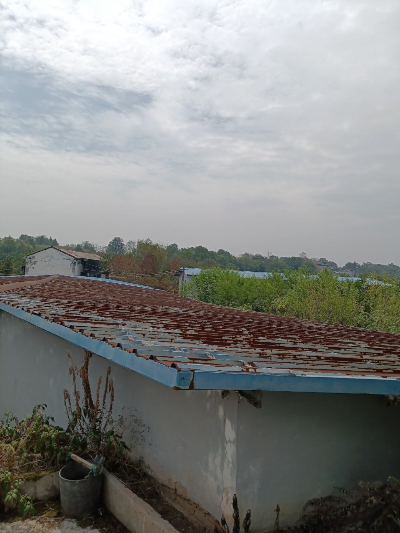 重庆爱媛基地60亩转让
