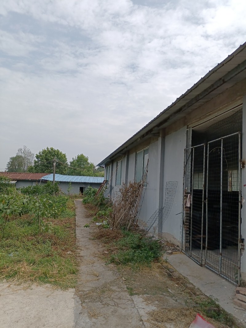 重庆爱媛基地60亩转让