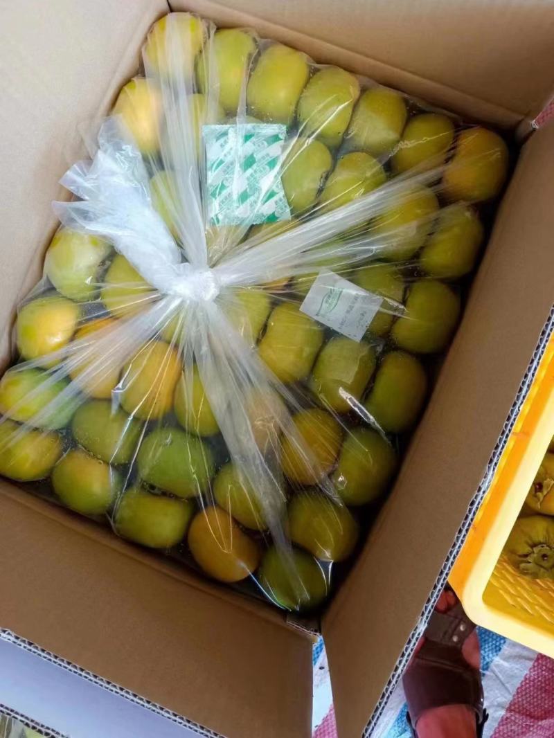 【脆柿子】脆柿子大量上市香甜可口欢迎全国客户订购