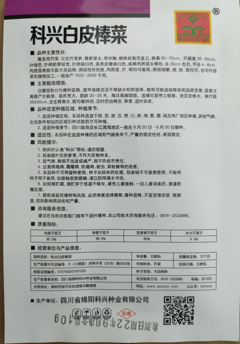 早熟白皮棒菜种子白皮高早熟棒棒菜种子二青白