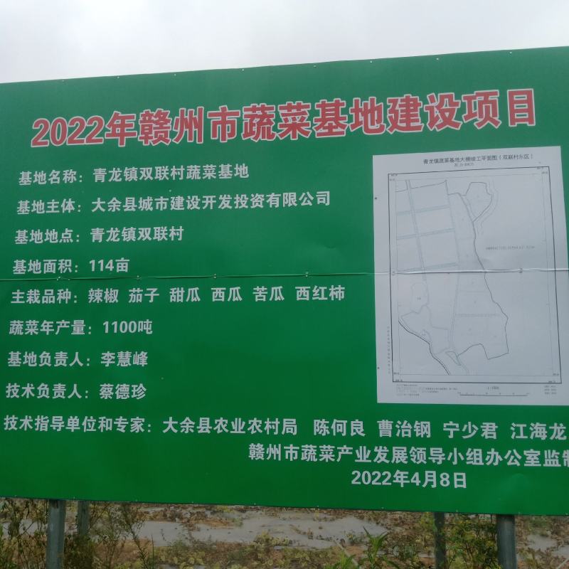 大棚出租，地租便宜