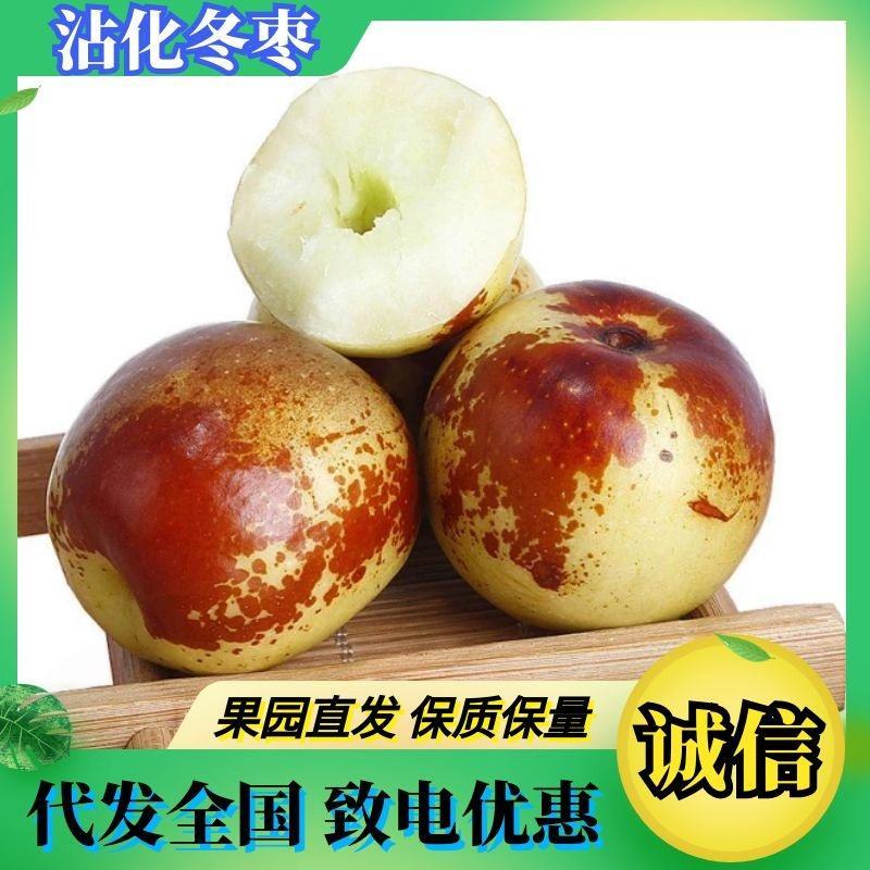 山东沾化区冬枣产地直供大量热销脆甜可口一件代发团购