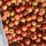 沂蒙大棉球山楂，果肉细腻耐运输，果园装货，质量保证