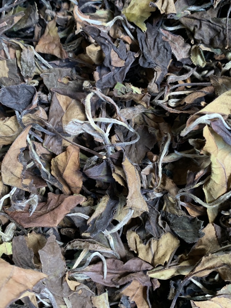 大家好，我这边是生产福鼎白茶的厂家、福鼎白茶寿眉