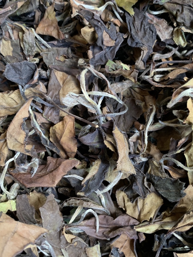 大家好，我这边是生产福鼎白茶的厂家、福鼎白茶寿眉