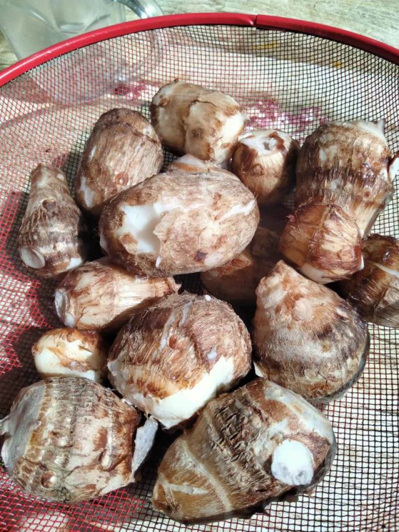 沂蒙山奶油芋头8520，好整车发货，一件代发，1厘米以上