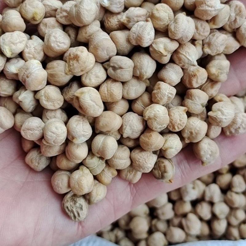 鹰嘴豆现货供应鹰嘴豆（大粒中粒小粒）鸡心豆鹰嘴豆