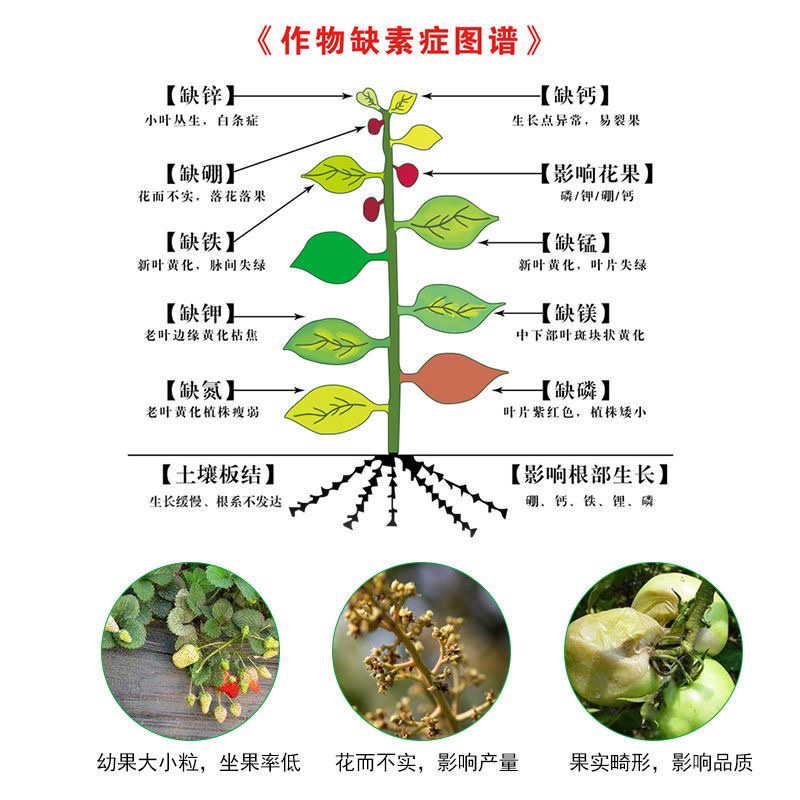 糖醇锌玉米果蔬补锌叶面肥小叶黄叶锌肥