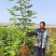 无花果树苗波姬红布兰瑞克紫果品种纯正，现挖现发