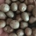 青州原产地常年批发零售优质白玉山药豆，