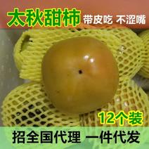 柿子太秋甜柿大秋甜柿甜心柿脆甜广西桂林恭城特产水果