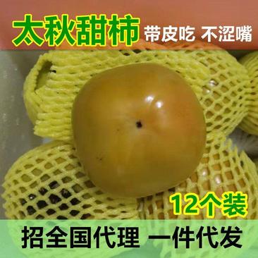 柿子太秋甜柿大秋甜柿甜心柿脆甜广西桂林恭城特产水果