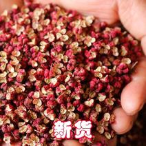 花椒，新货2023陕西大红袍花椒颗粒纯净货