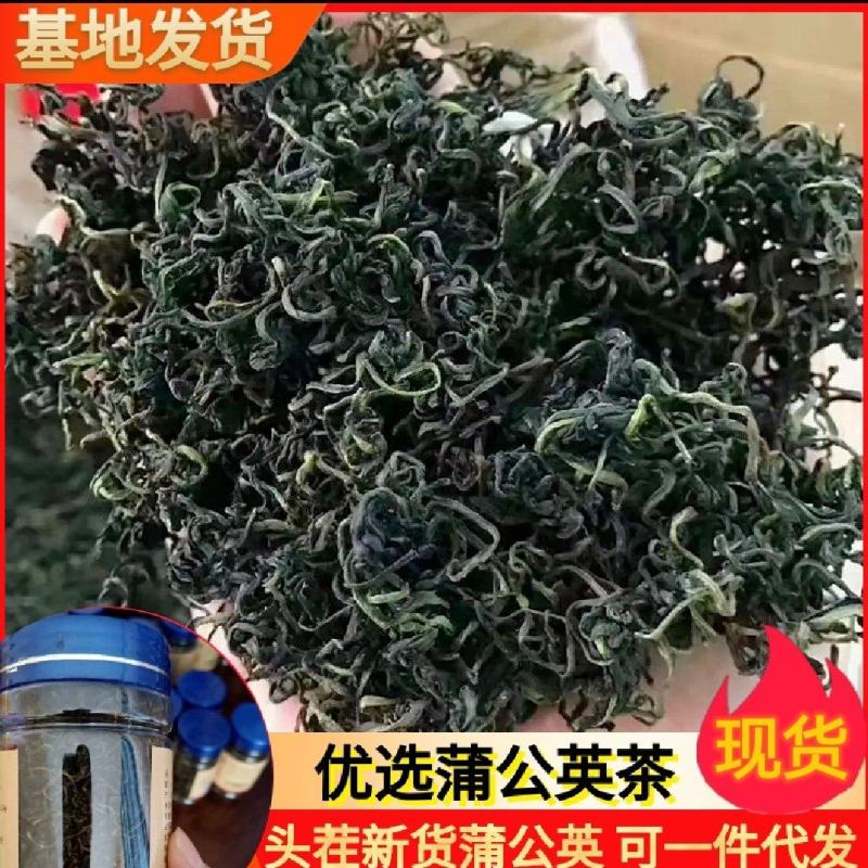 蒲公英茶头茬货纯新货蒲公英根茶婆婆丁一件代发