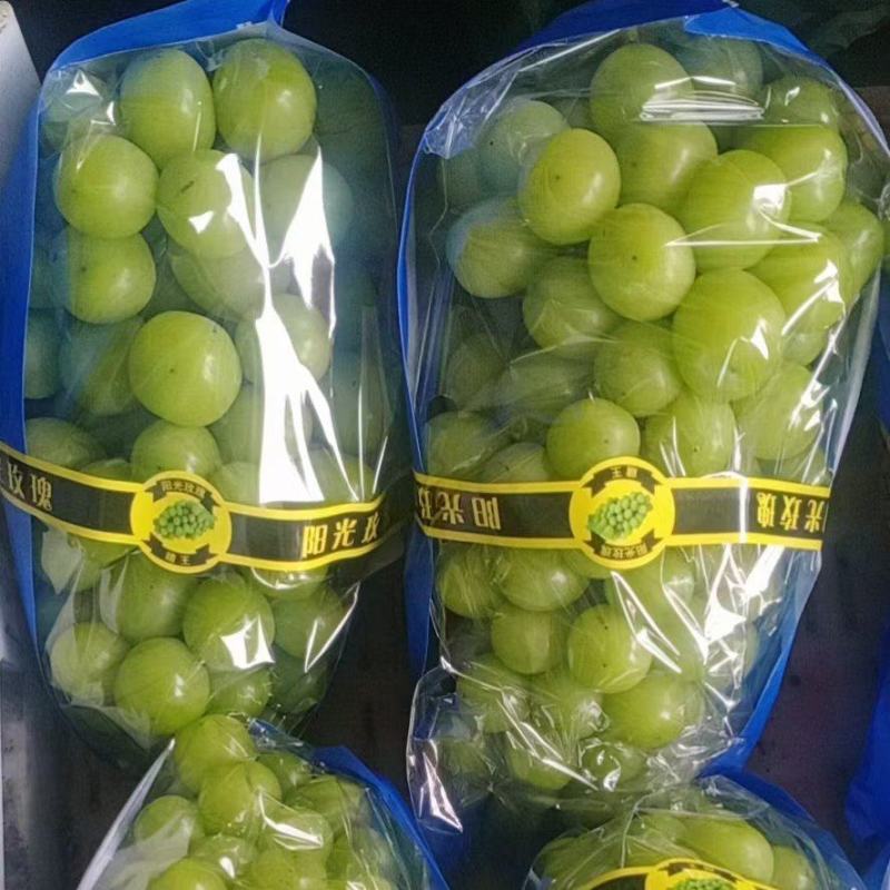 阳光玫瑰葡萄精品