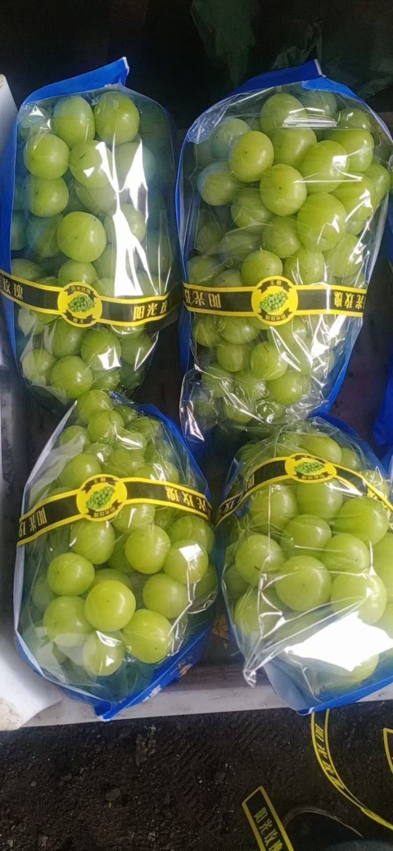阳光玫瑰葡萄精品
