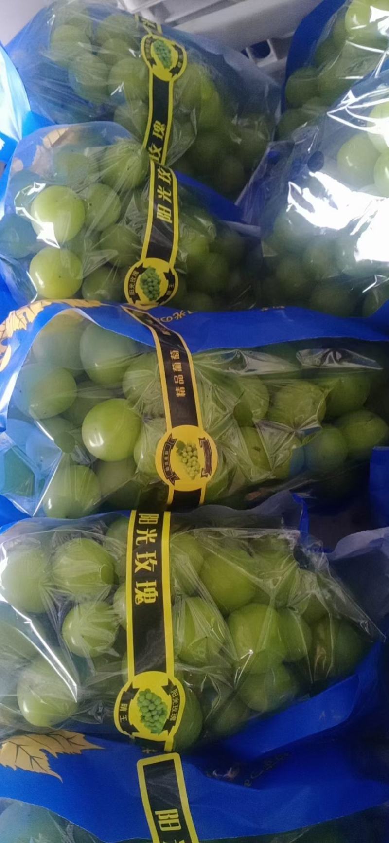 阳光玫瑰葡萄精品