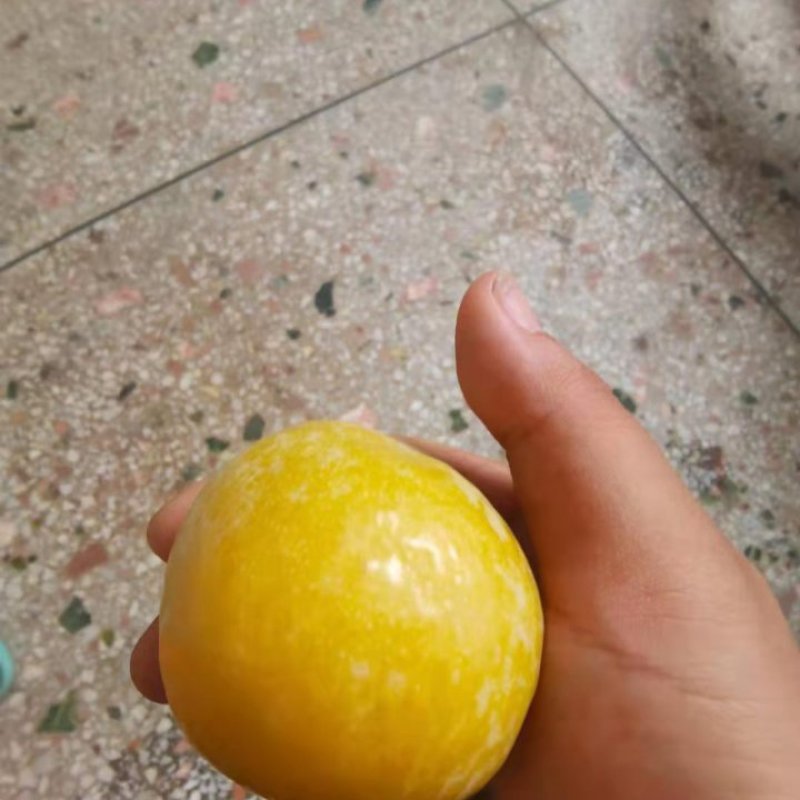 黄金李