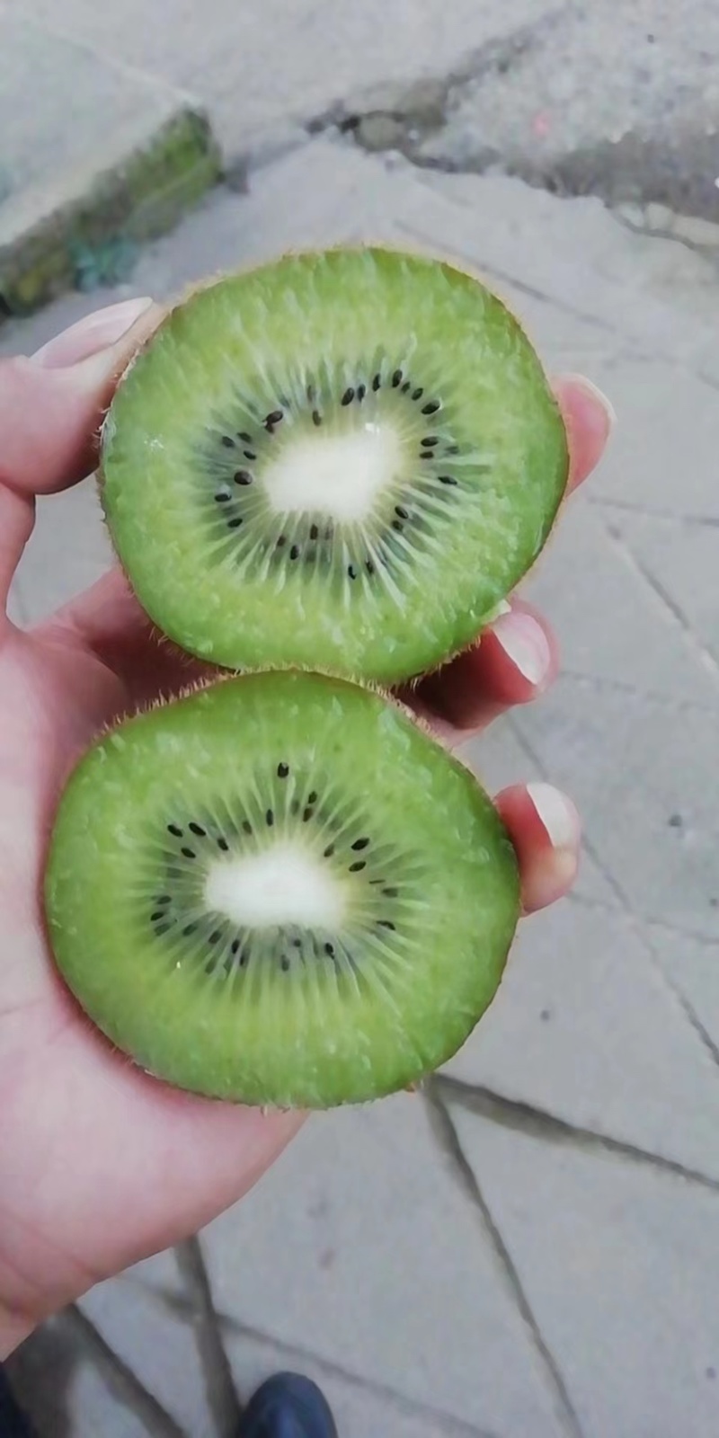 翠香猕猴桃产地直供，欢迎咨询