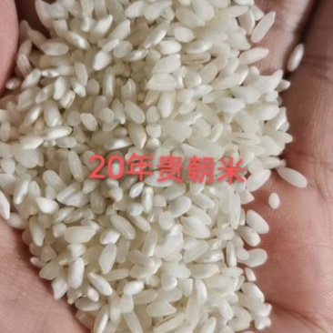 20年贵朝米粉米米粉米线粉类专用