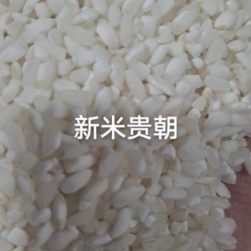 24年新米粉米专用，重金属不超标专业米粉米线米皮肠粉河粉