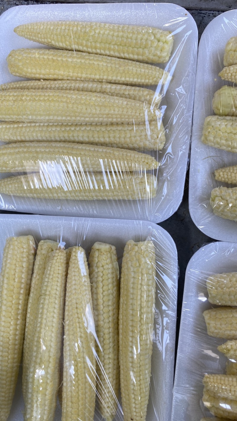 玉米笋