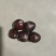 扳栗