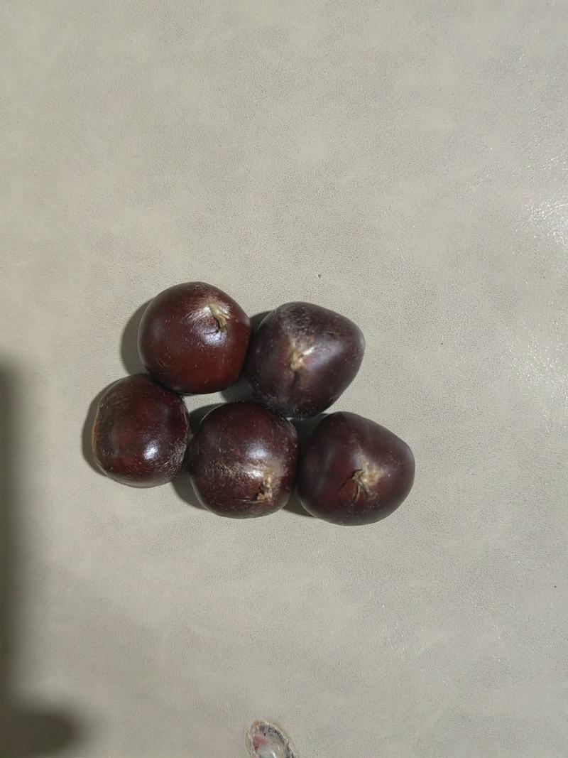 扳栗