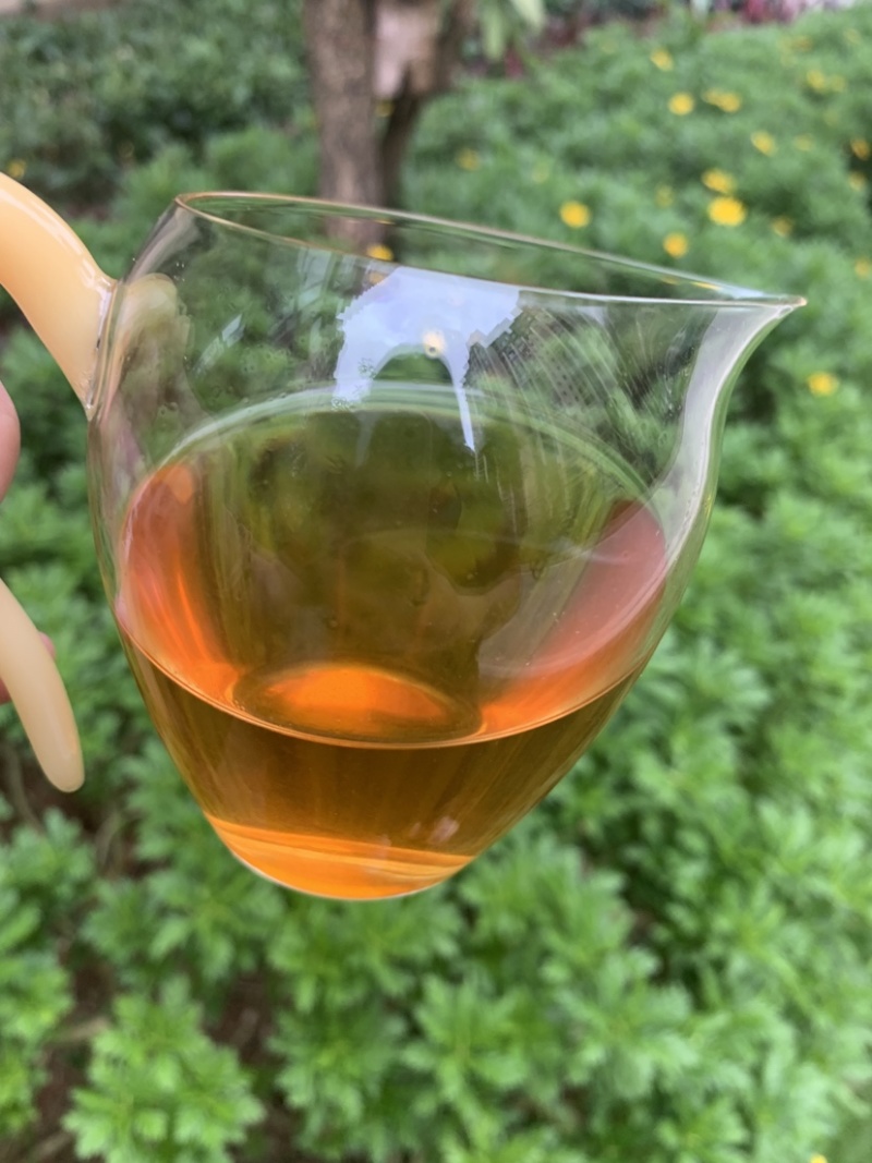 2006年班章生态茶