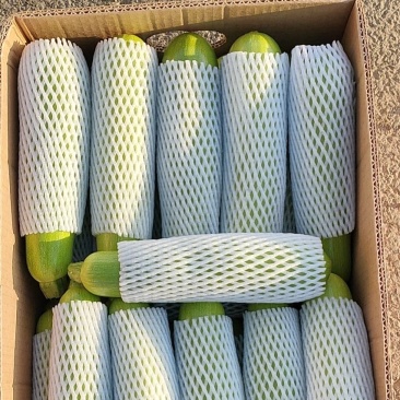 质量好！