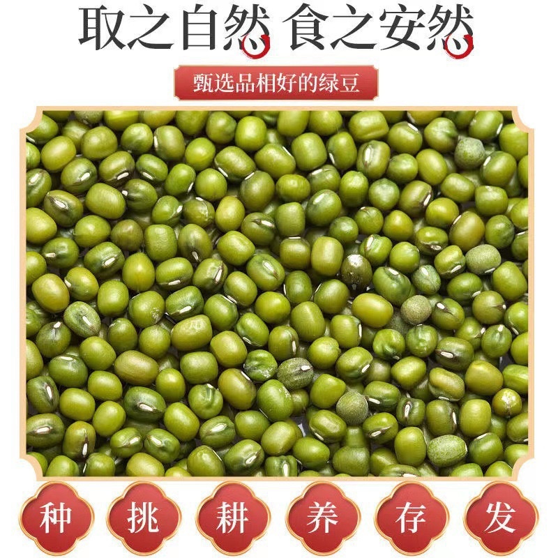 龙口绿豆粉丝200g一袋支持代发电商供应