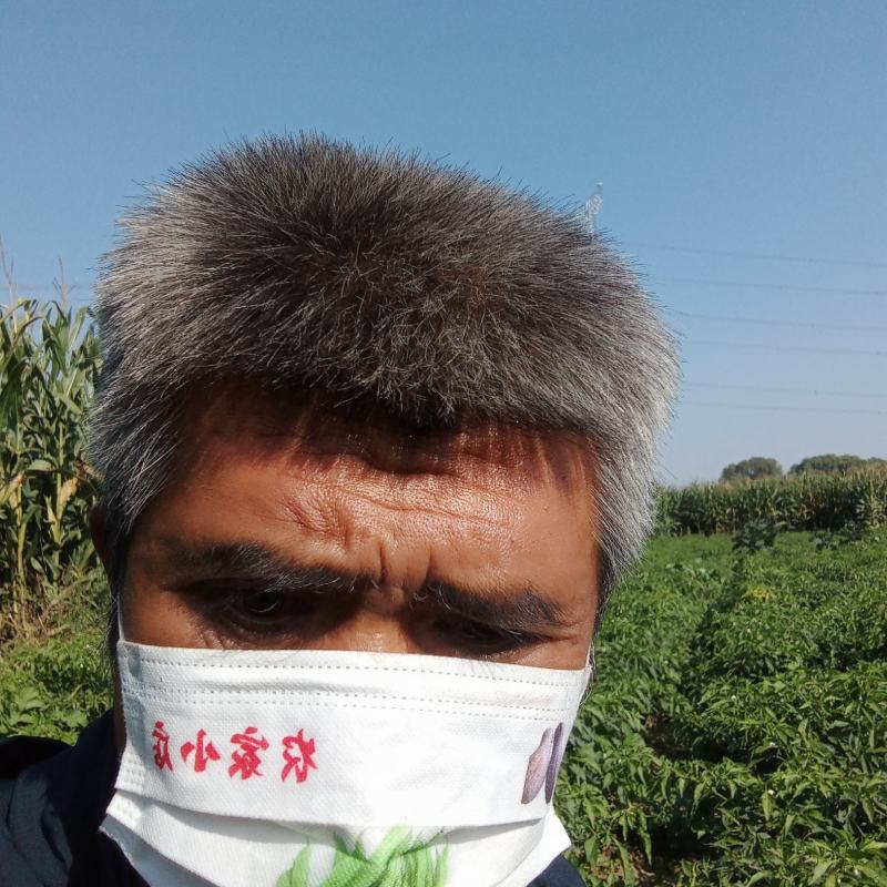 鲜辣椒