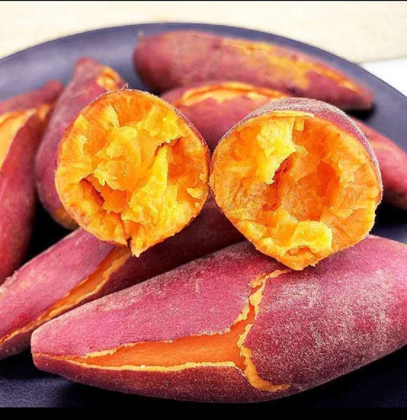 红薯，西瓜红，龙九