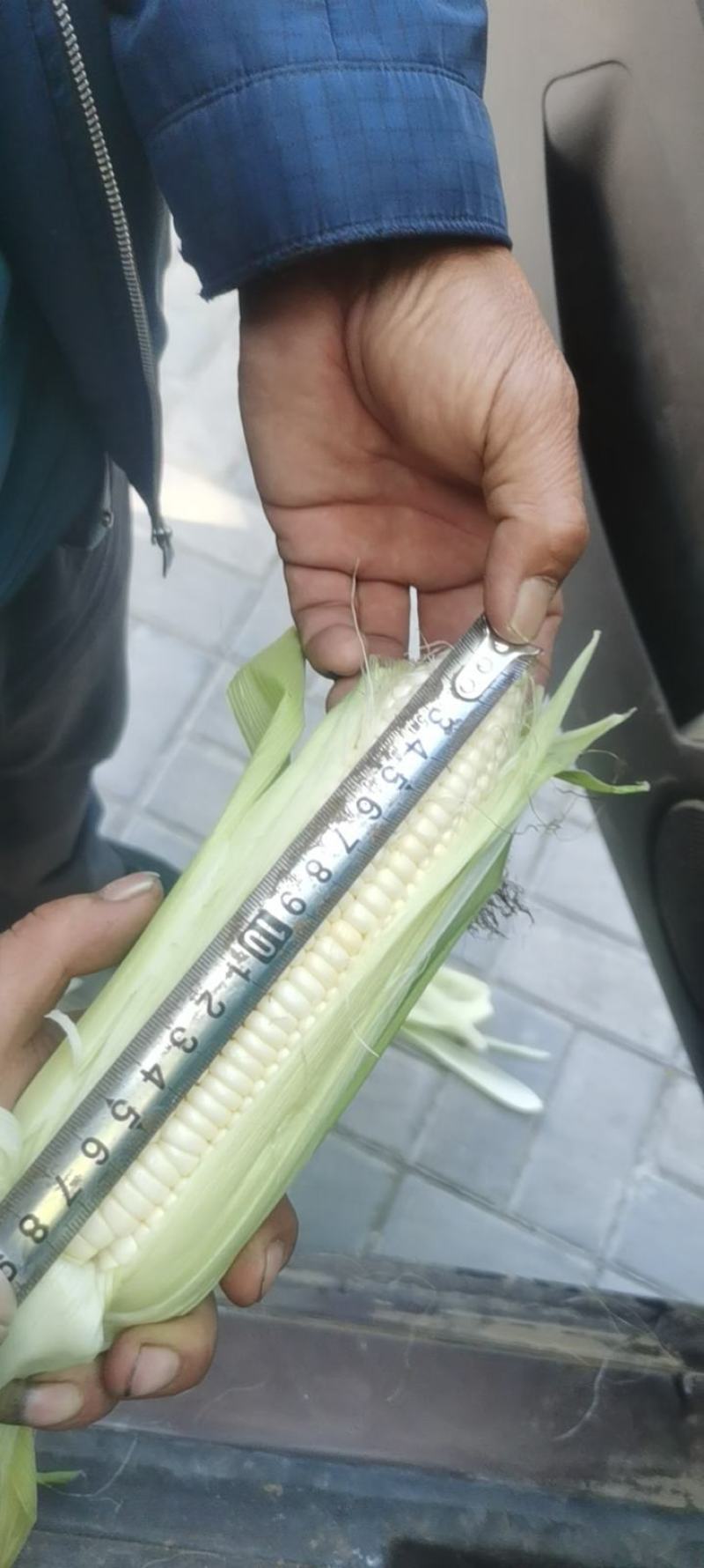 万糯二千