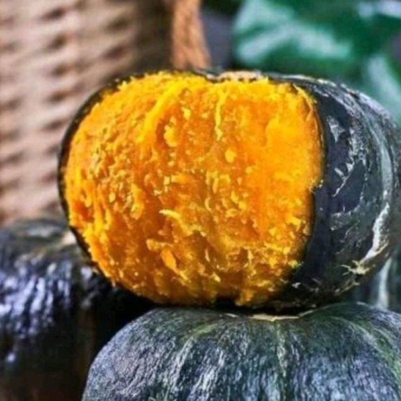 板栗，贝贝，南瓜大量供应电商货