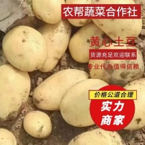 精品电商平台土豆：品种规格齐全，质量保证价格低。