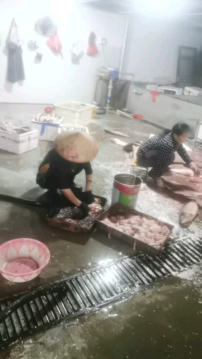 【鲜达】翘嘴白鱼1斤，天天发货全国物流配送次日到