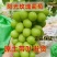 葡萄苗阳光玫瑰高枝条葡萄苗，嫁接阳光玫瑰葡萄苗
