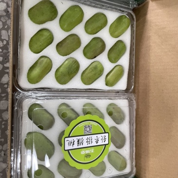 软枣猕猴桃